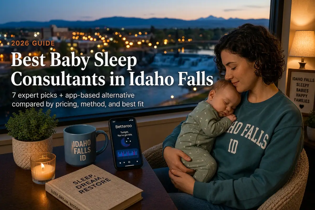 Mother holding a sleeping baby beside a window overlooking the Snake River falls, guide to baby sleep consultants in Idaho Falls Idaho