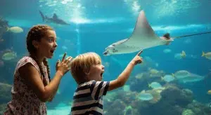 Two children amazed and pointing at animals while learning fun animal facts