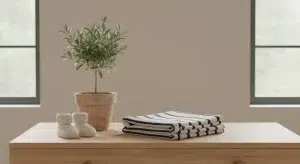 Small potted olive tree, folded navy and white striped baby blanket and tiny knit booties on a light wooden dresser top